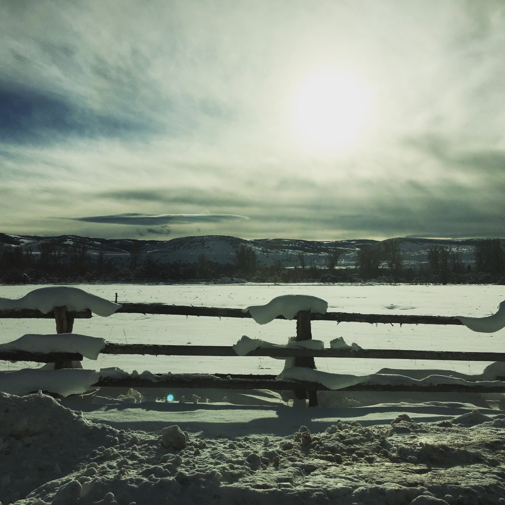 Resources & Inspiration for You + All Day Sit for Peace on Friday