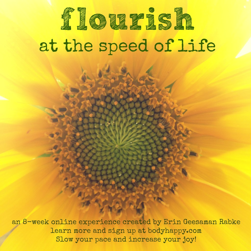 flourish2016IMG_0671