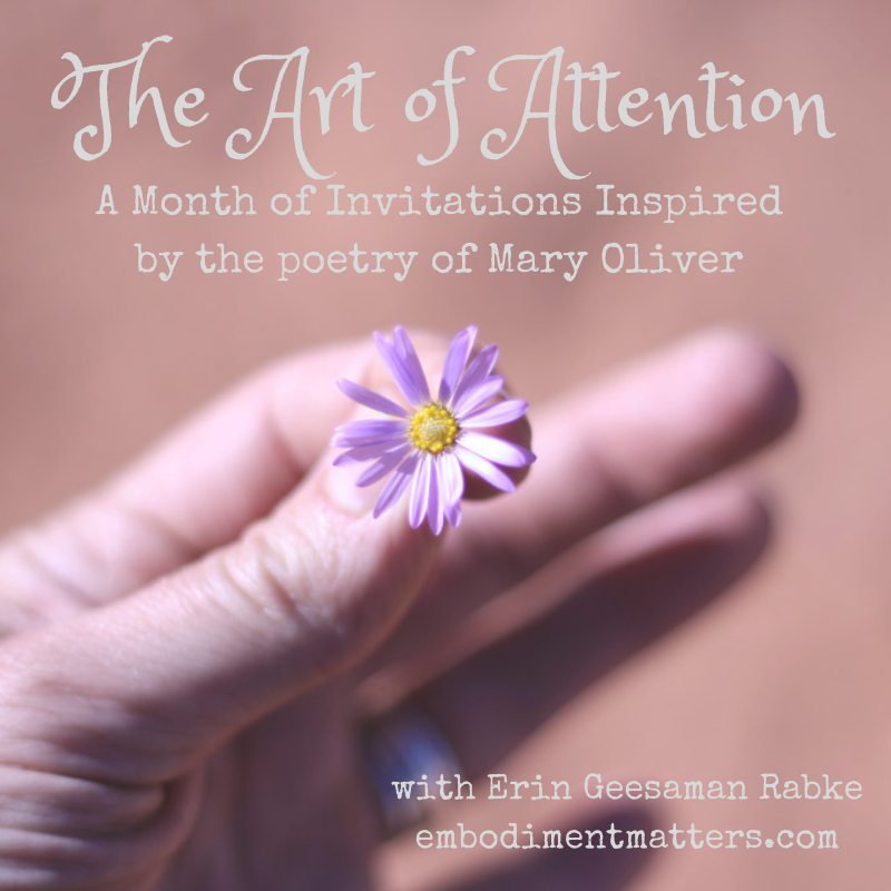 art of attention