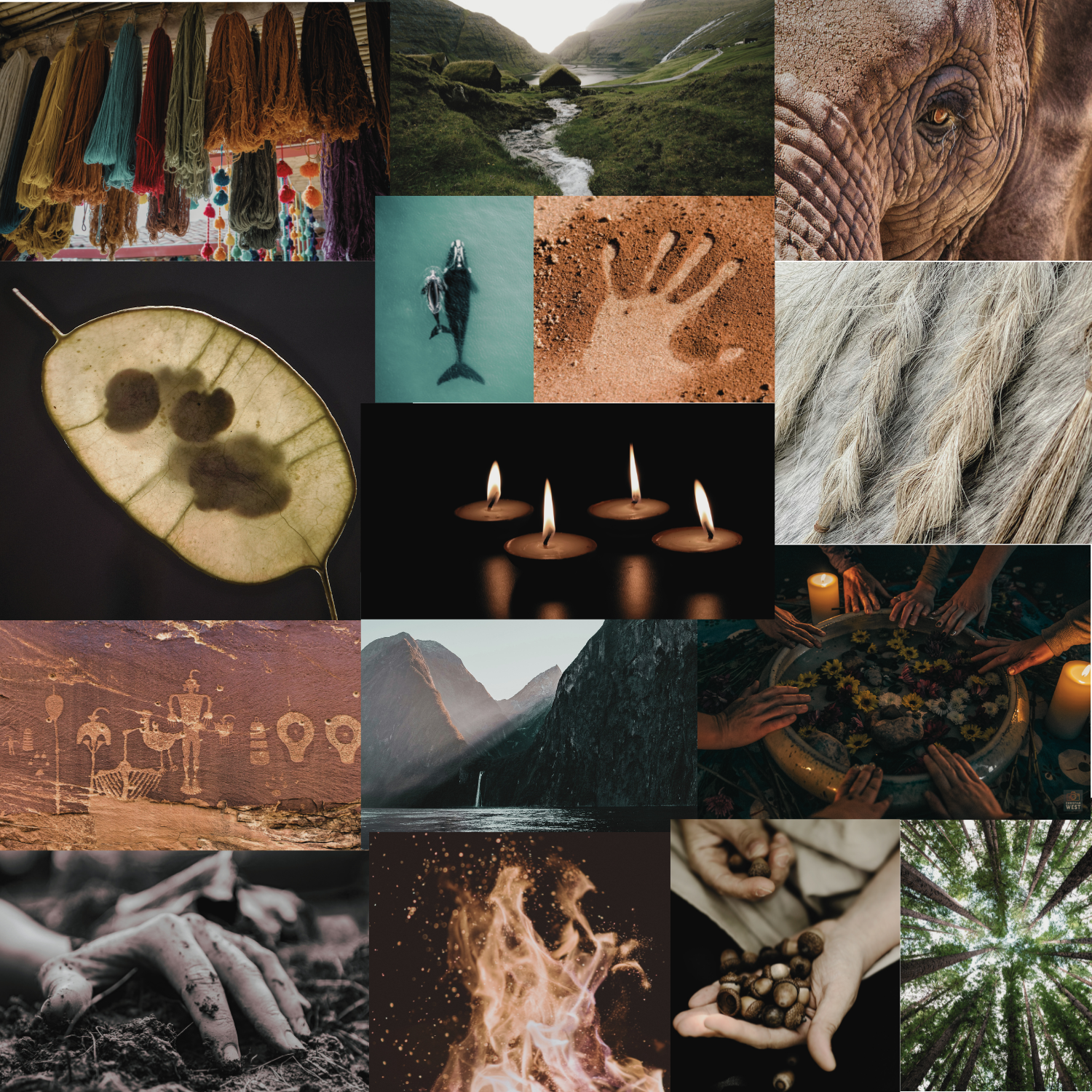 Your paragraph text (1)