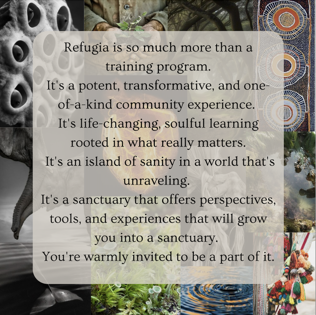 Refugia is so much more than a training program. It's a potent, transformative, and one-of-a-kind community experience. It's life-changing, soulful learning rooted in what really matters. It's an island of sanity in a world that's unraveling. It's a sanctuary that offers perspectives, tools, and experiences that will grow you into a sanctuary. You're warmly invited to be a part of it.