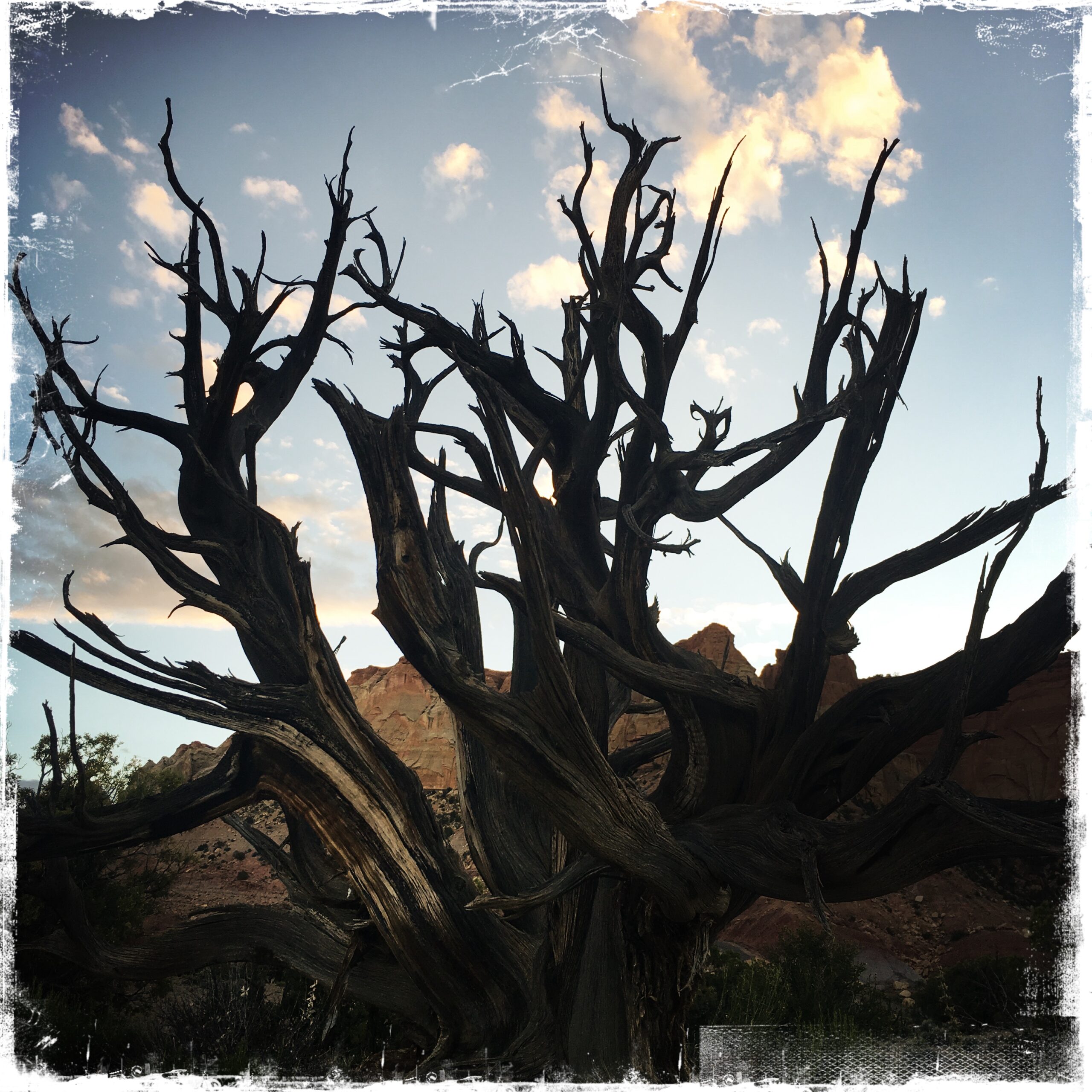 HipstamaticPhoto-517717706.626707