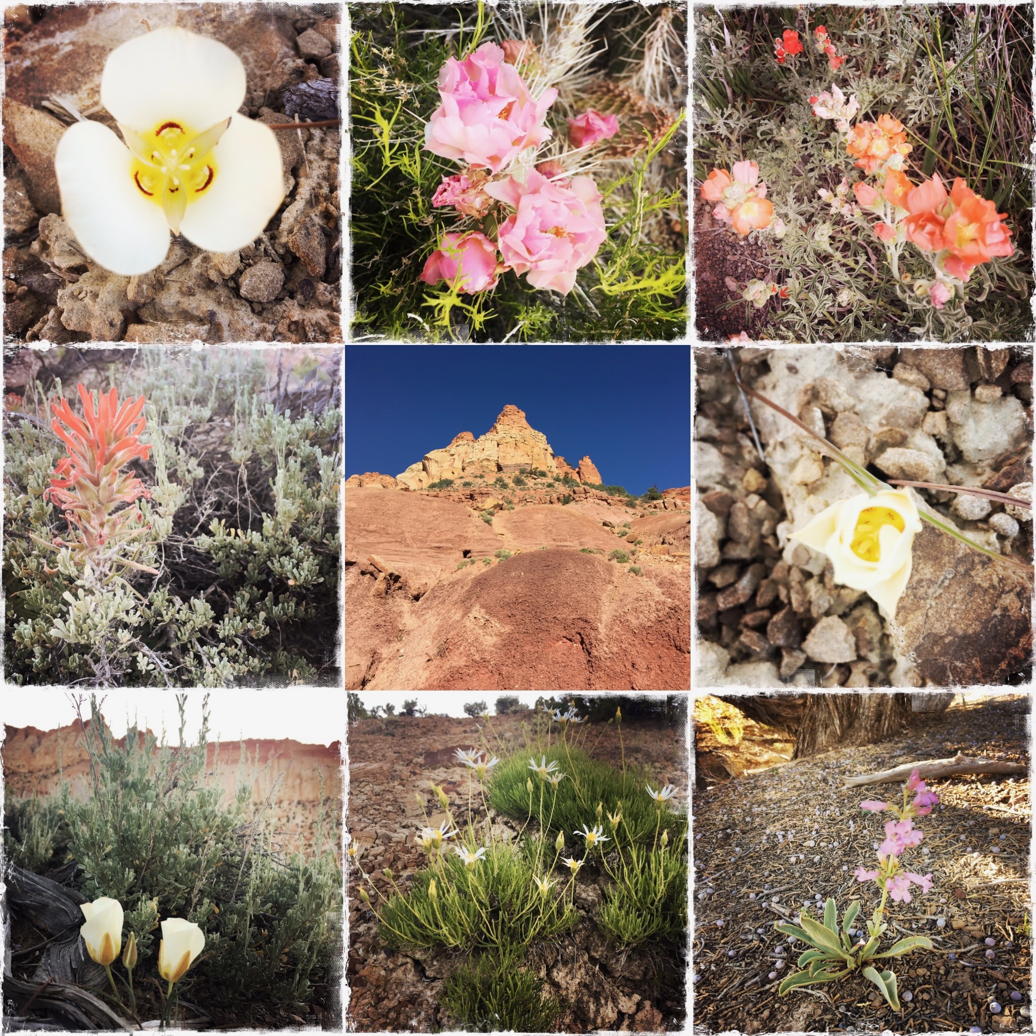 EBA82FB7-A187-4AED-B4D3-578EC3EFF05D