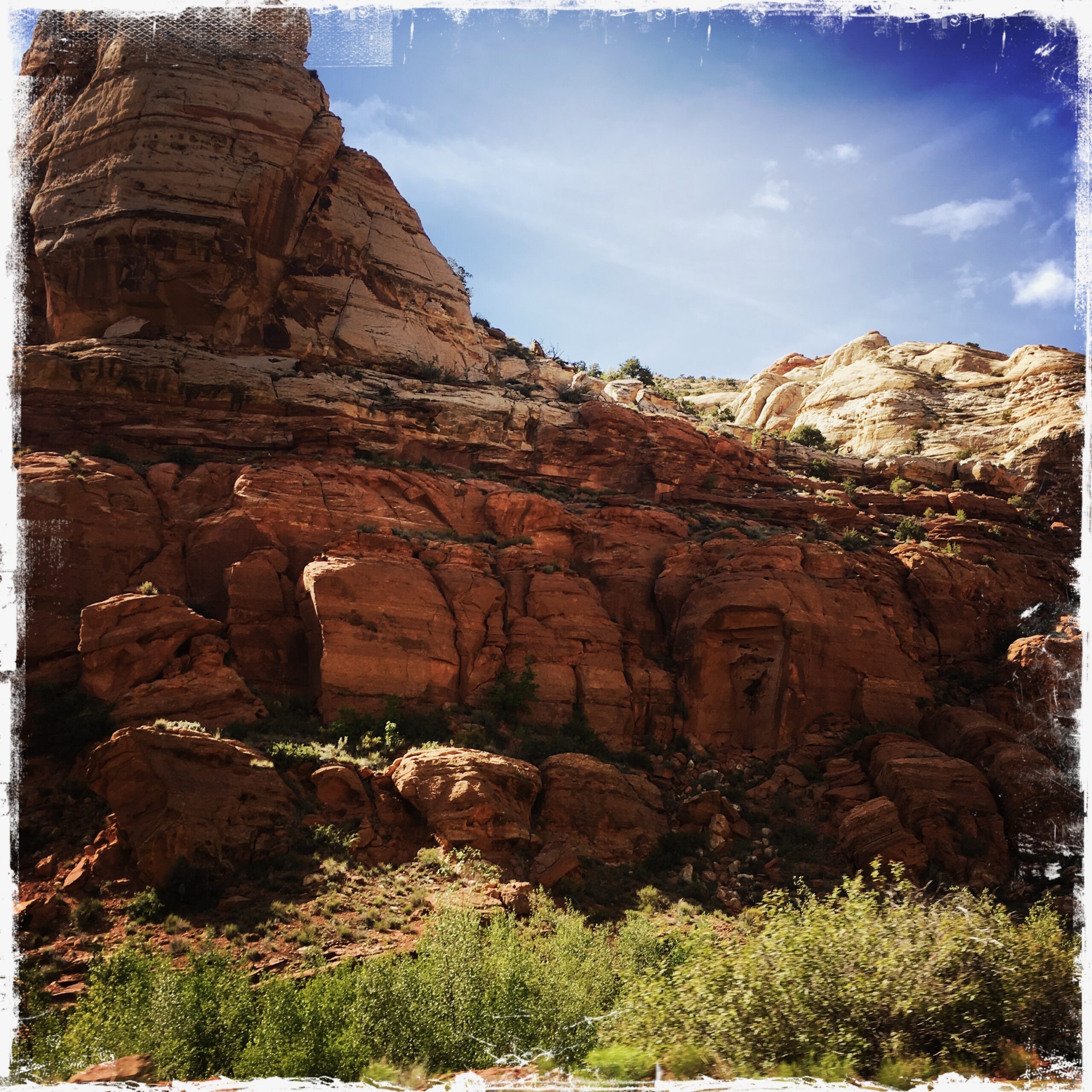 HipstamaticPhoto-515285064.620539 (1)