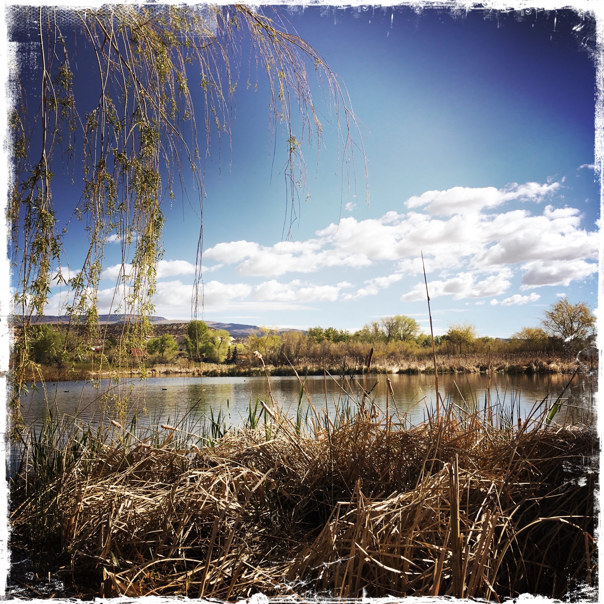 HipstamaticPhoto-515345823.839522