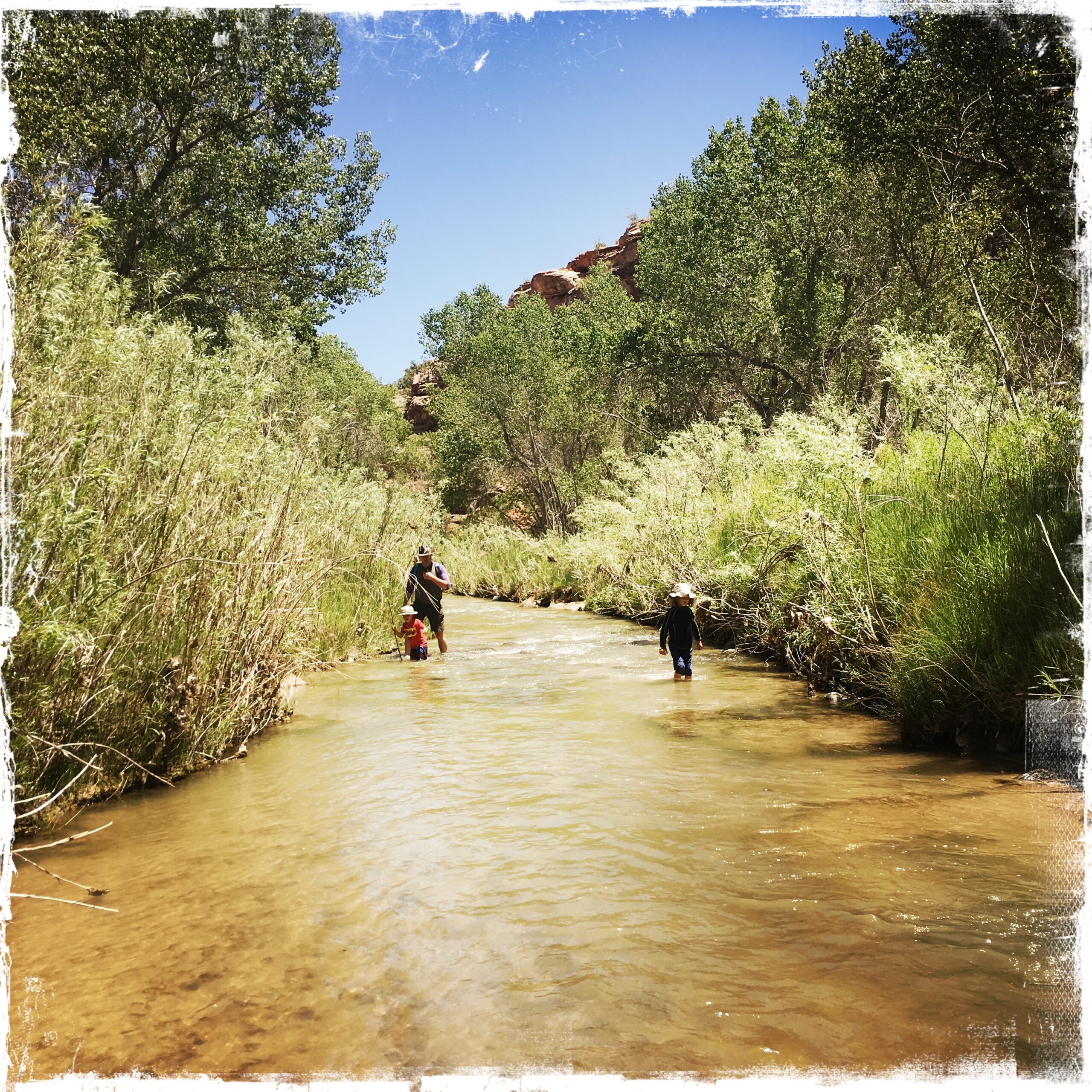 HipstamaticPhoto-517692435.642178 (1)